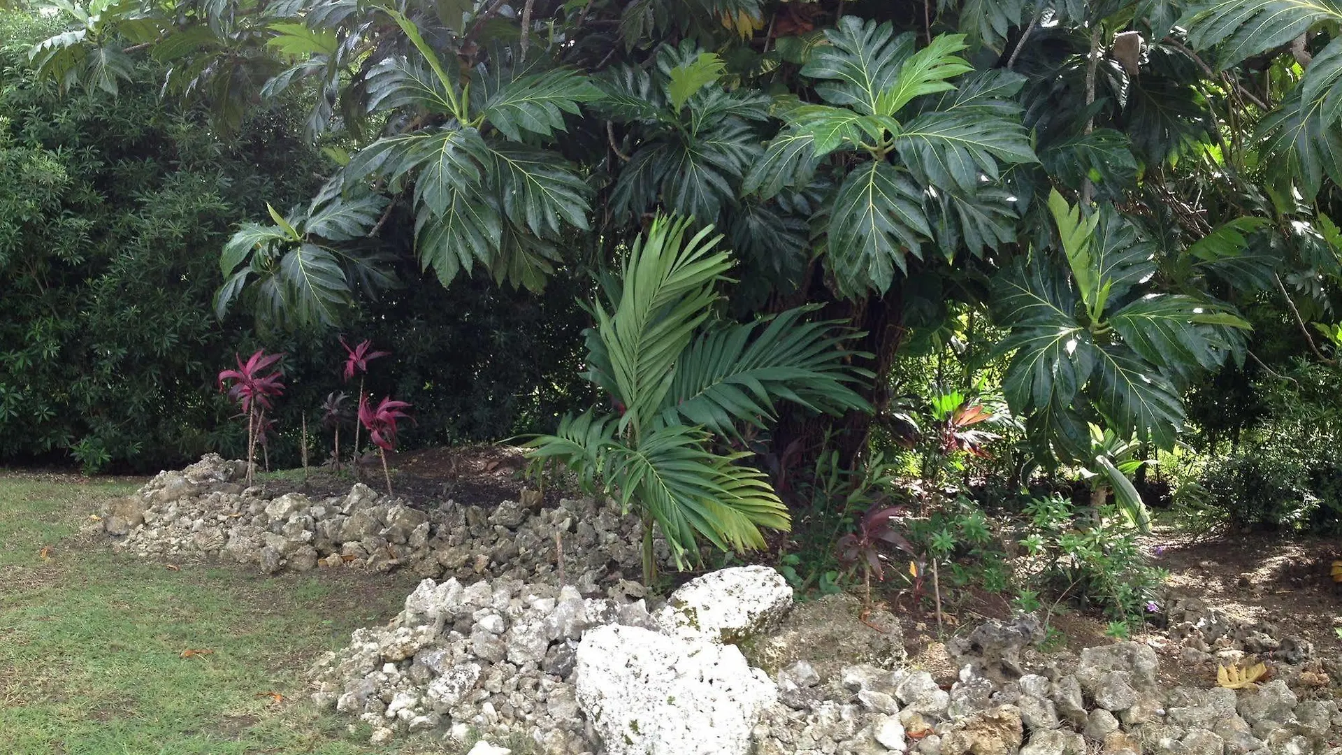 Aparthotel Westc Saint James 3*,  Barbados